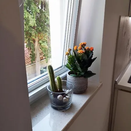 Orsan - Elegant With Private Terrace Daire Dubrovnik